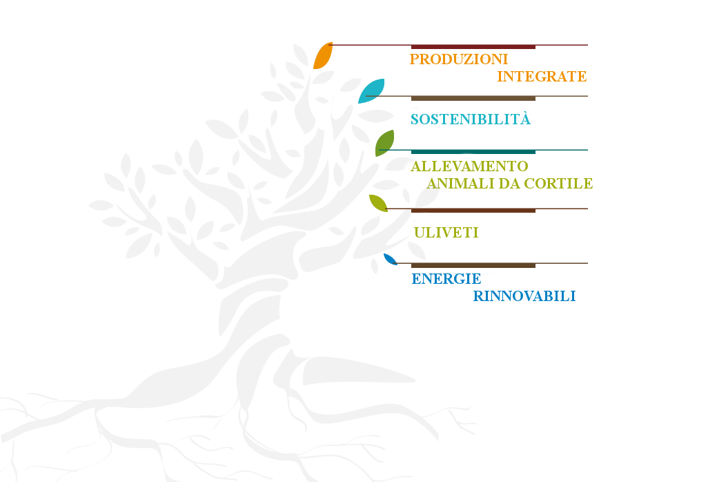 albero division FONTANE